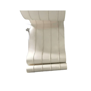 Guide Strip Positioning Conveyor Belt