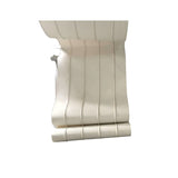 Guide Strip Positioning Conveyor Belt